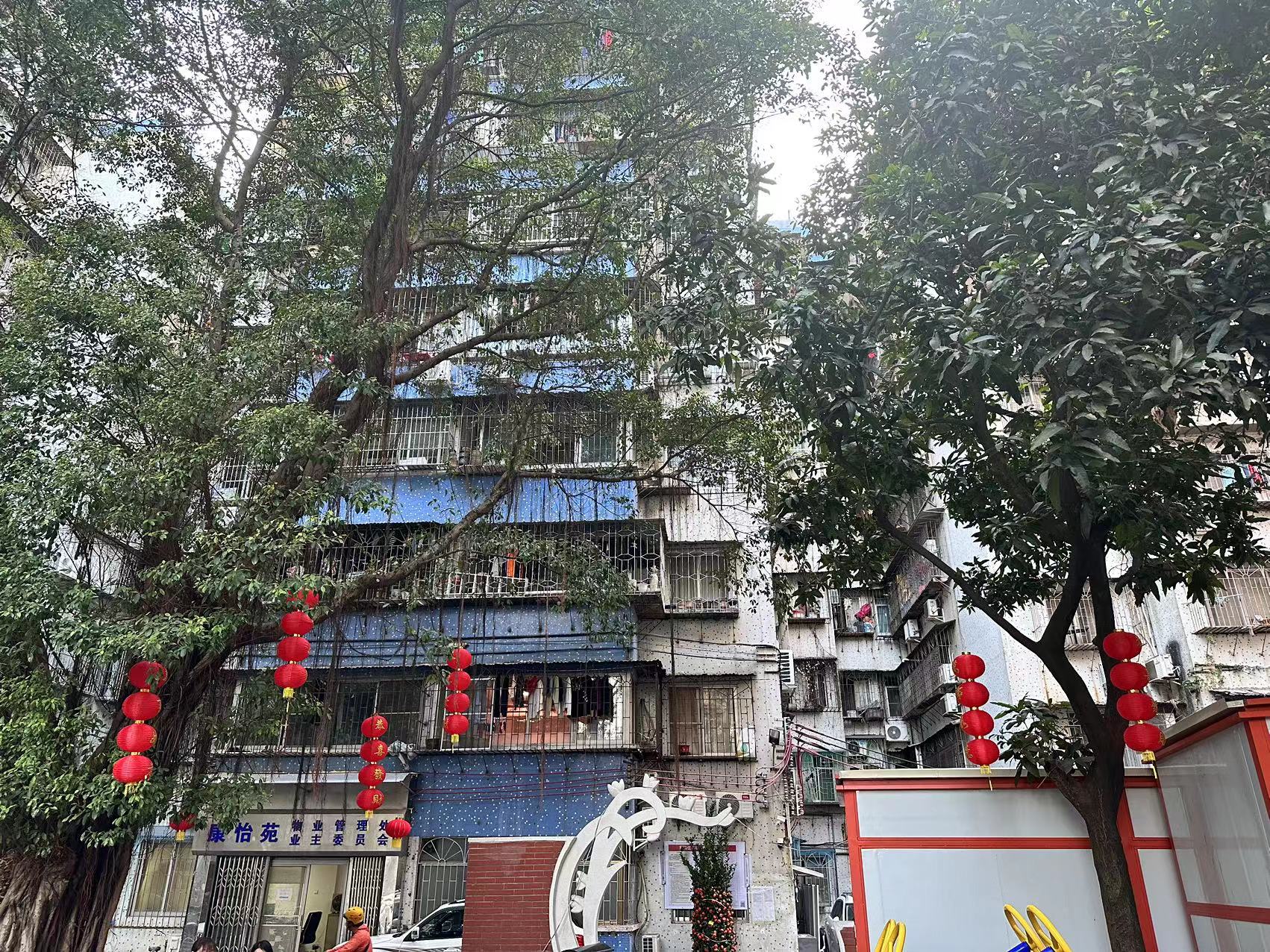 1706865669167980.jpg 1706865669167980.jpg