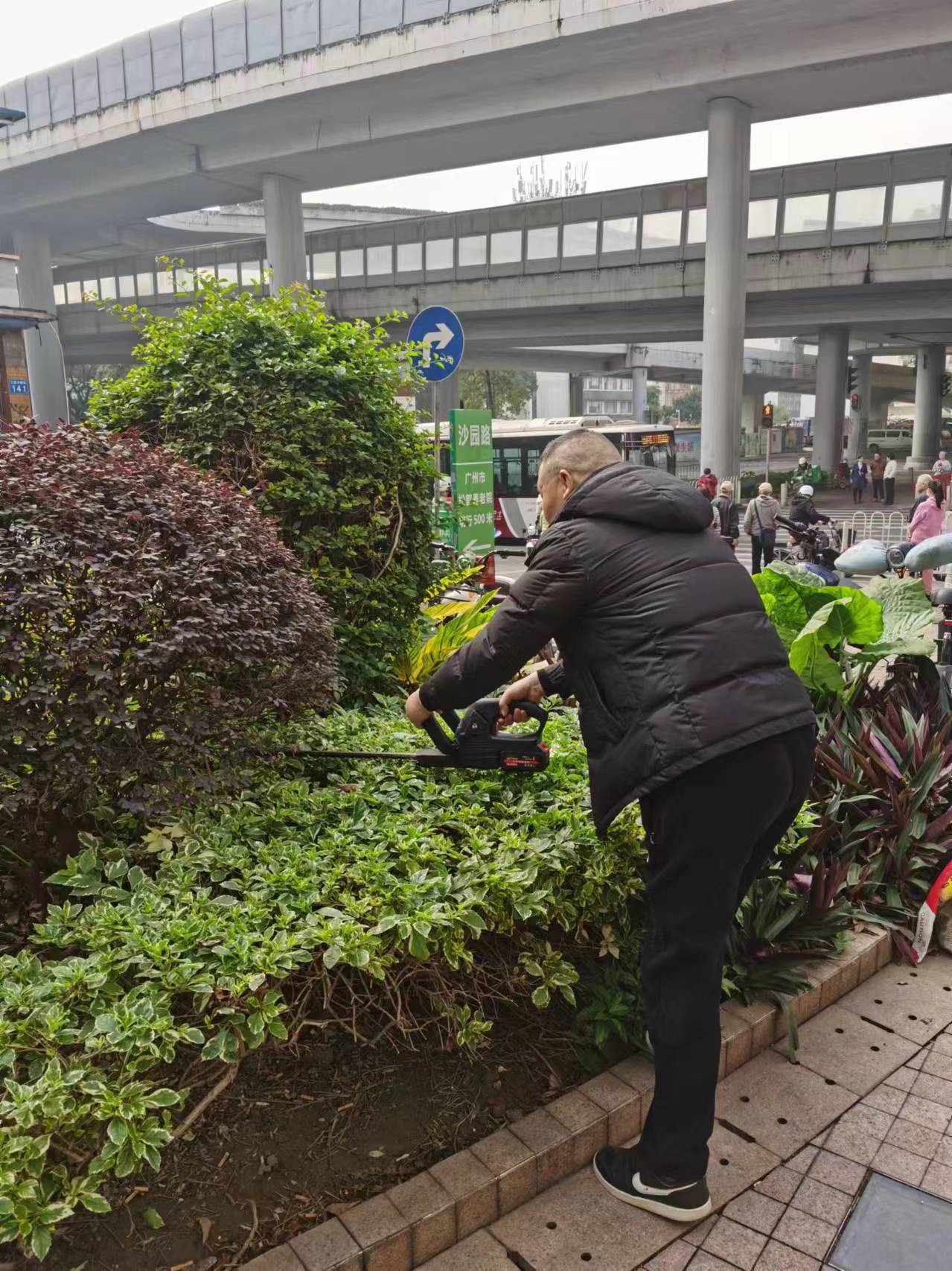 1706865669244517.jpg 1706865669244517.jpg