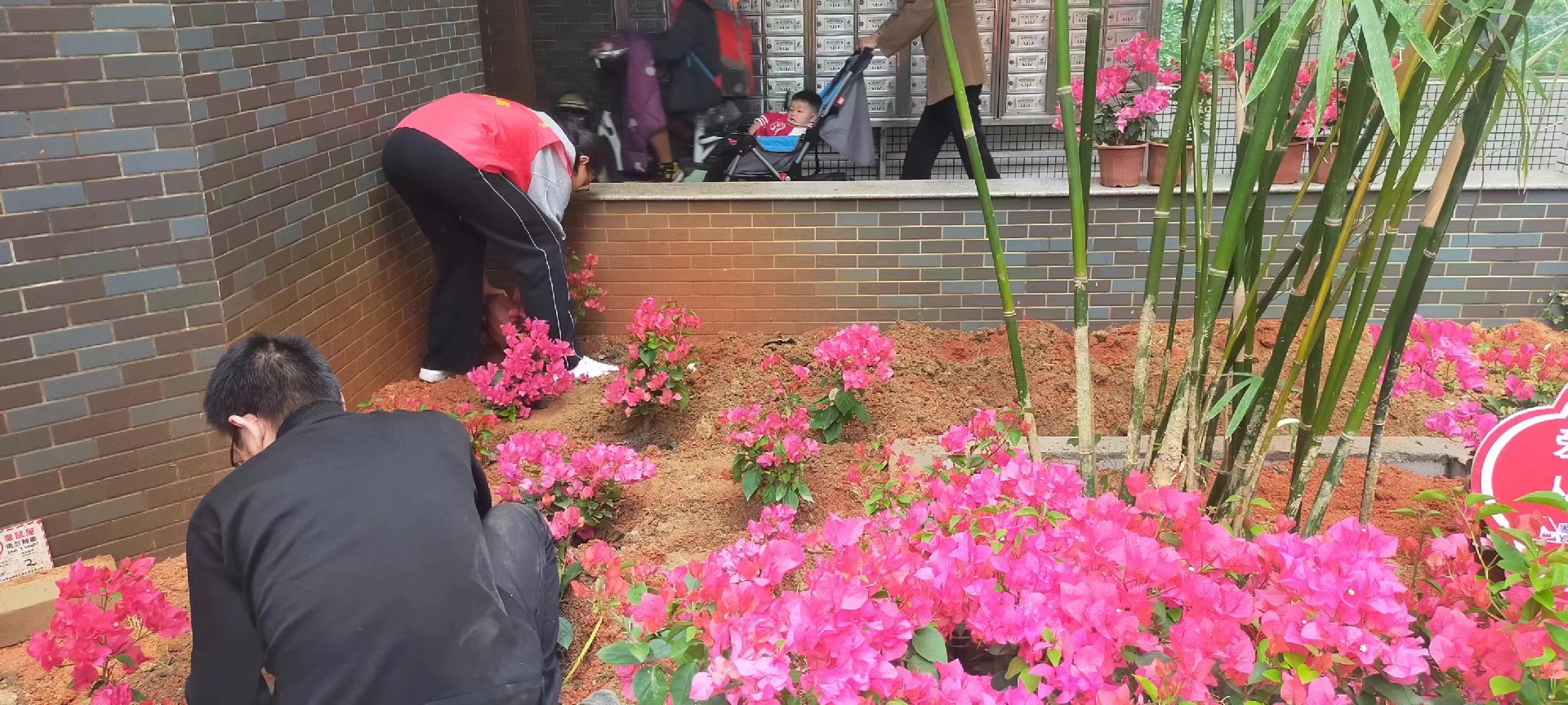 1706865671805280.jpg 1706865671805280.jpg